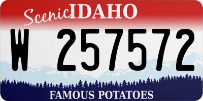 ID license plate W257572