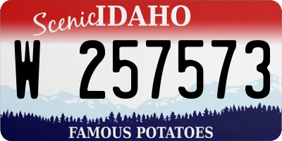 ID license plate W257573