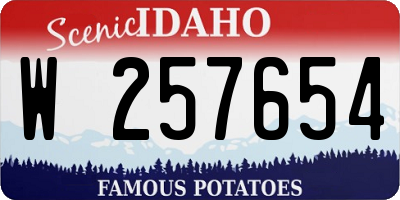 ID license plate W257654
