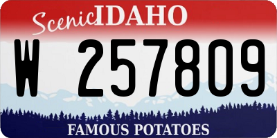 ID license plate W257809