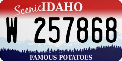 ID license plate W257868