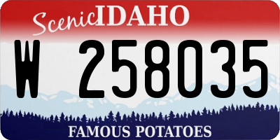 ID license plate W258035