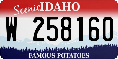 ID license plate W258160