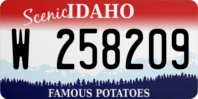 ID license plate W258209