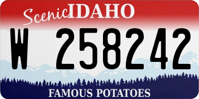 ID license plate W258242