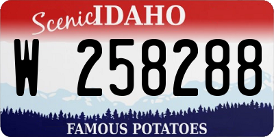 ID license plate W258288