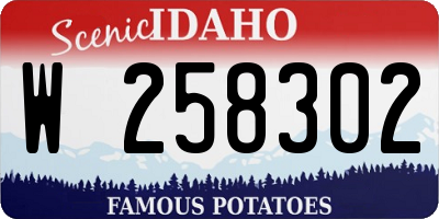 ID license plate W258302