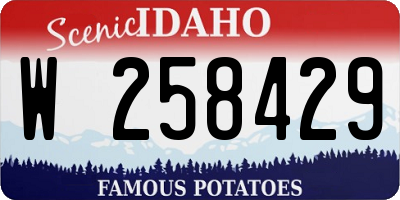 ID license plate W258429