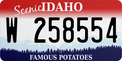 ID license plate W258554