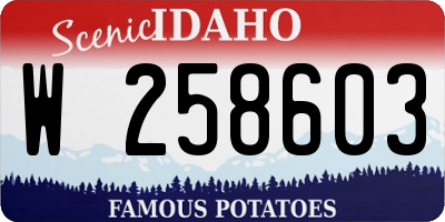ID license plate W258603