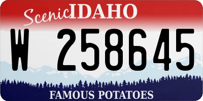 ID license plate W258645