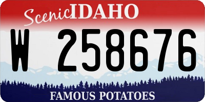 ID license plate W258676