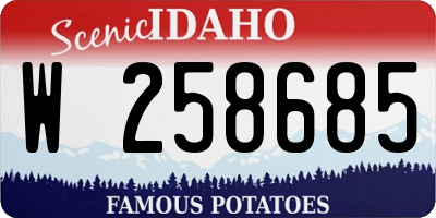 ID license plate W258685