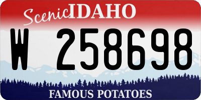 ID license plate W258698