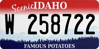 ID license plate W258722