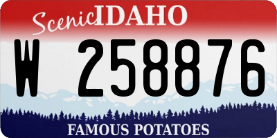 ID license plate W258876