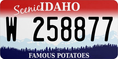 ID license plate W258877
