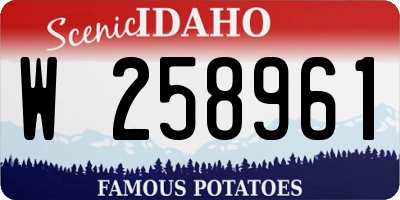 ID license plate W258961
