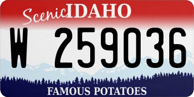 ID license plate W259036
