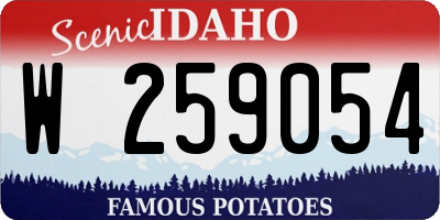 ID license plate W259054