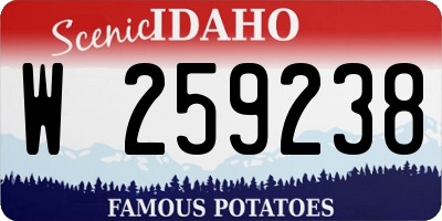 ID license plate W259238