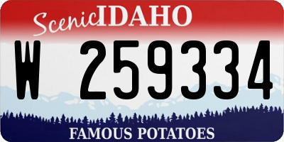 ID license plate W259334
