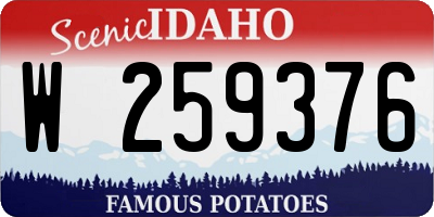 ID license plate W259376