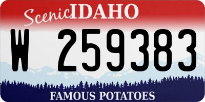 ID license plate W259383