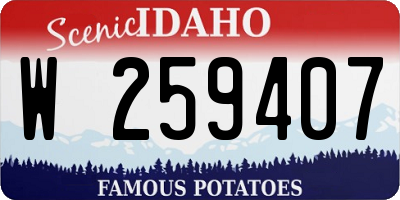 ID license plate W259407