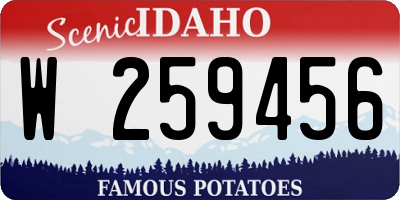 ID license plate W259456