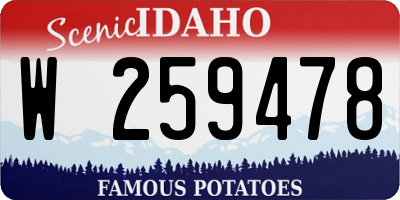 ID license plate W259478