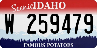 ID license plate W259479
