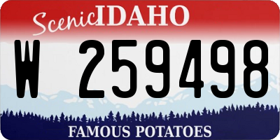 ID license plate W259498