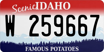 ID license plate W259667