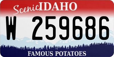 ID license plate W259686