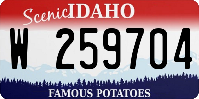 ID license plate W259704