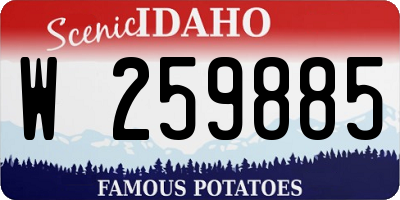 ID license plate W259885