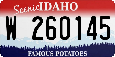 ID license plate W260145