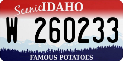ID license plate W260233