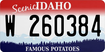 ID license plate W260384