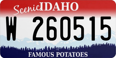 ID license plate W260515