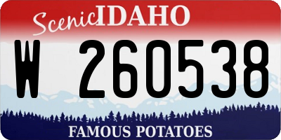 ID license plate W260538