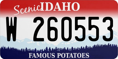 ID license plate W260553