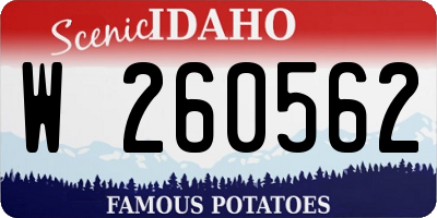 ID license plate W260562