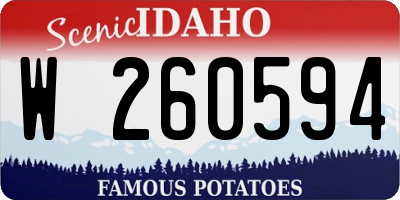 ID license plate W260594
