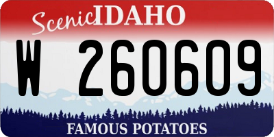 ID license plate W260609