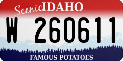 ID license plate W260611