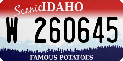 ID license plate W260645