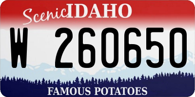 ID license plate W260650