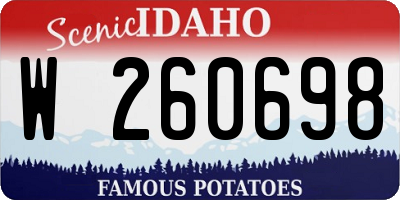 ID license plate W260698